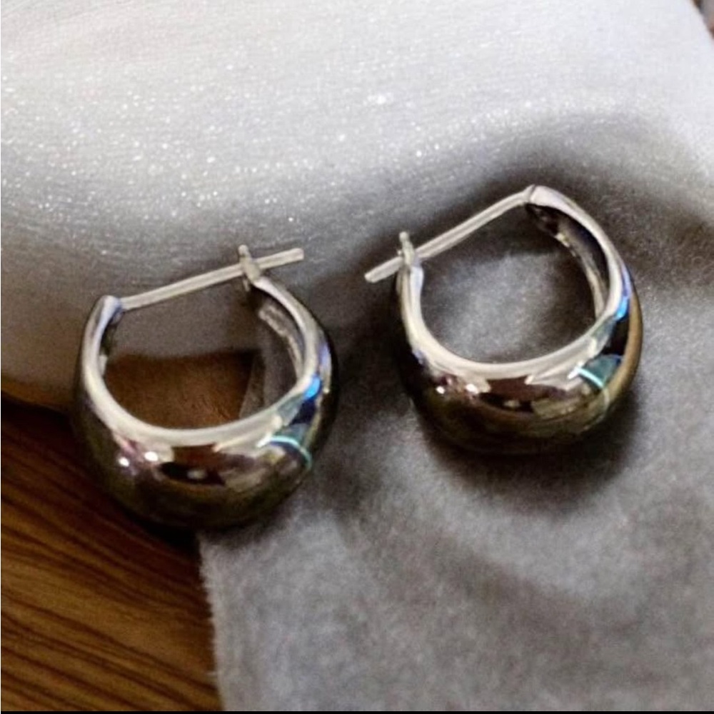 Elegant Silver Hoop Earrings